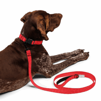 Pet leash
